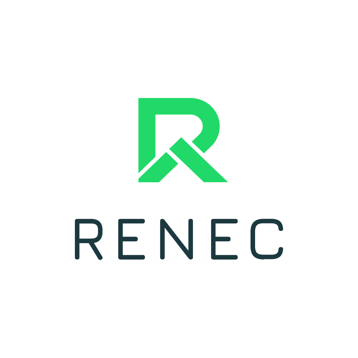 RENEC Blockchain image